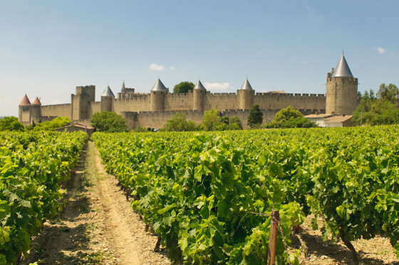 Escapada entre viñedos