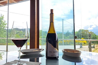 Una visita con cata comentada para 2 en Bodegas Petrón en Doade (Lugo)