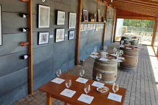 Una visita con cata comentada para 2 en Bodegas Petrón en Doade (Lugo)