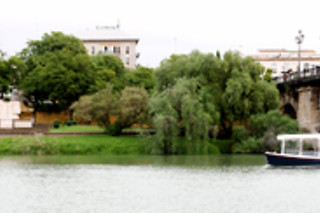 Paseo exclusivo en barco por el río Guadalquivir (Sevilla)
