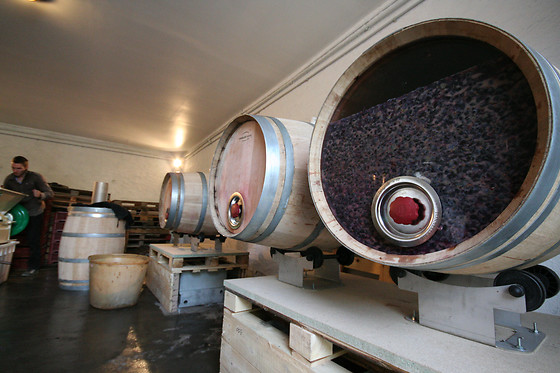 Le domaine Grand Guilhem - photo 10