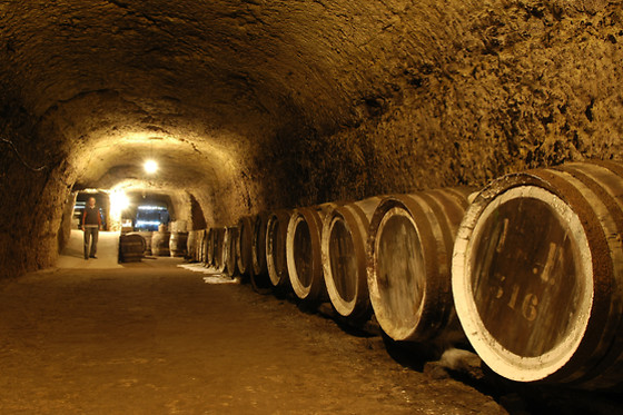 BODEGAS MONOVAR - photo 5