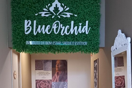 BlueOrchid, Instituto Holístico & Ayurveda - photo 6