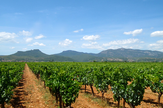 Chateau de Jonquieres - photo 1