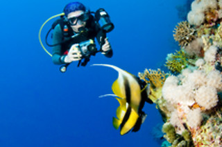 Una inmersión de buceo nocturno para 2 en Sotacero Diving en El Masnou (Barcelona)