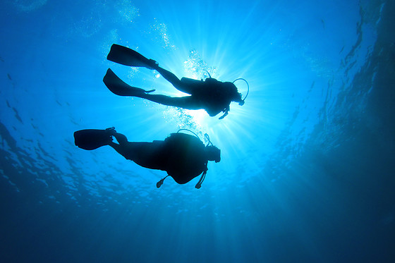 Una inmersión de buceo nocturno para 2 en Sotacero Diving en El Masnou (Barcelona)