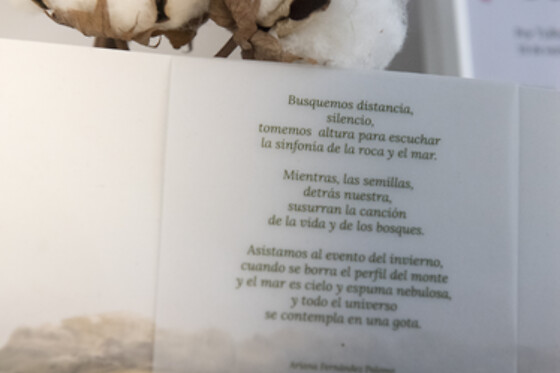 EFECTO SAN JUAN - photo 4