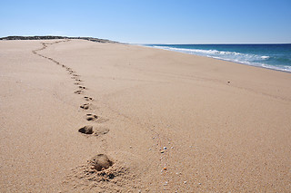 Iberic Fusion Platja en Badalona (Barcelona)