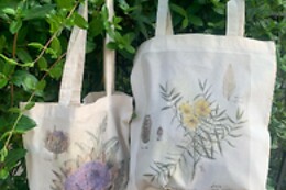 JARDIN BOTANICO DE SOLLER