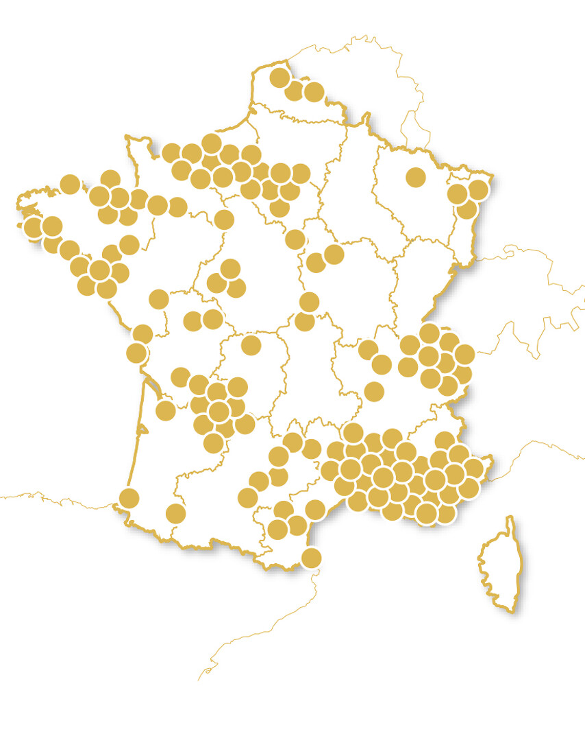 Castillos en Francia