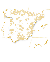 Hoteles únicos