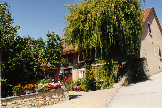 Domaine de Chantemerle - photo 0
