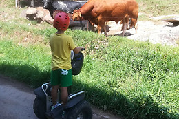NATURATOURS