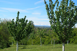 Mas d'Escampette