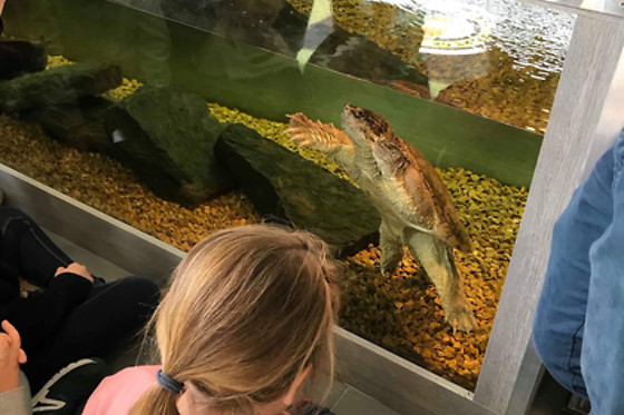 Mike's Reptipark - photo 3
