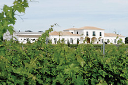VIÑA SANTA MARINA
