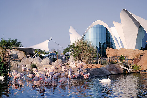 Oceanografic Valencia