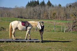 Farandole Equestre