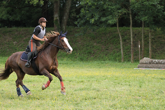 Farandole Equestre - photo 0
