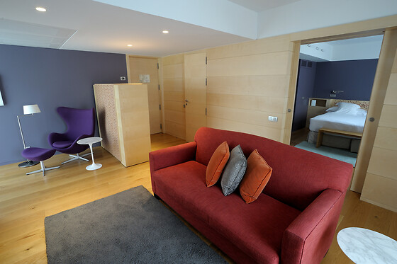 HOTEL RESORT BALNEARIO DE PANTICOSA - photo 15