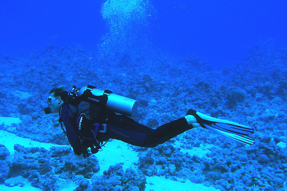 Bautismo de buceo en Fuengirola (Málaga)