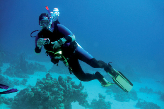 DIVE PARADIS - photo 4