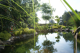 Aqua de lux