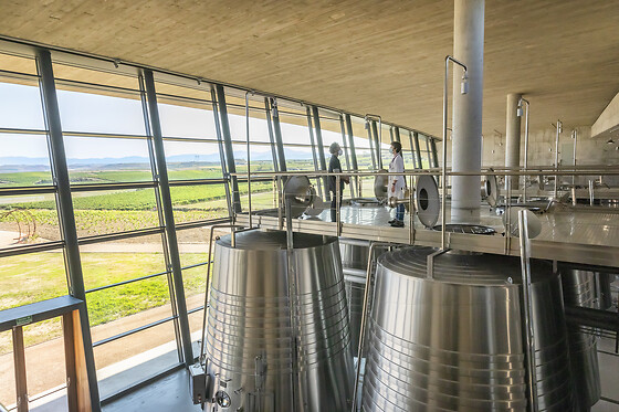 BODEGAS BERONIA - photo 6