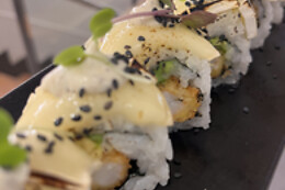 TOFU GIRONA