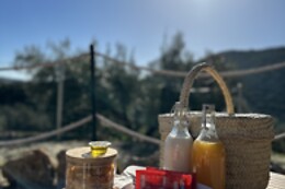 CORTIJO COLOMO
