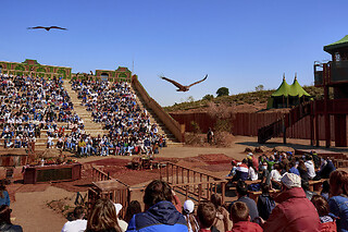 Puy du Fou España - 2 Adultos y 1 Niño