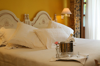 Una noche con desayuno para 2 en Palacio de La Viñona**** en Oviedo (Asturias)