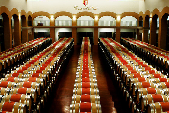 BODEGAS Y VIÑEDOS CASA DEL VALLE - photo 11