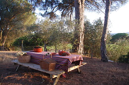 PICADEIRO QUINTA DO VALE