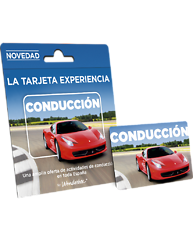 Tarjeta Experiencia Conducción