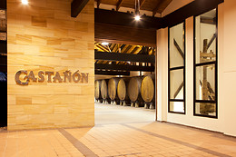 LLAGAR SIDRA CASTAÑON