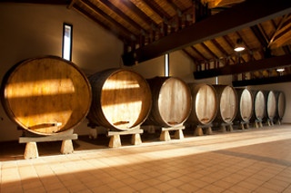 Sidra Castañón en Villaviciosa (Asturias)