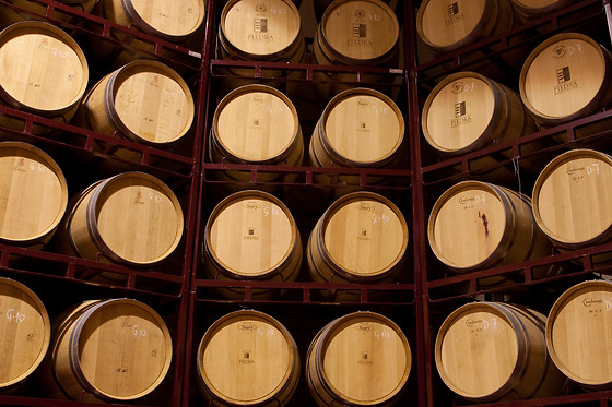 BODEGA  PIEDRA - photo 8