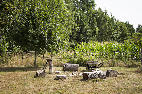 Le relais du chat prosper - photo 4