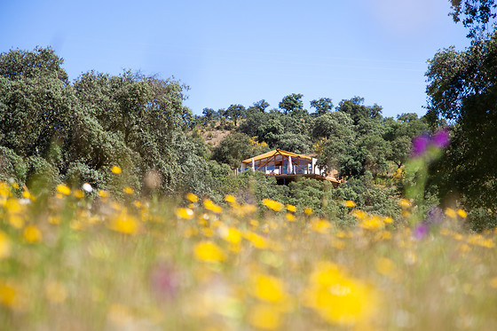 LA DEHESA EXPERIENCES - photo 7