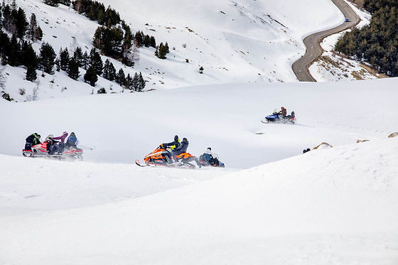 SLEDS - photo 7