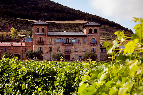 BODEGAS CASTILLO DE MONJARDIN - photo 1