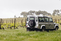 HERDADE DE COELHEIROS