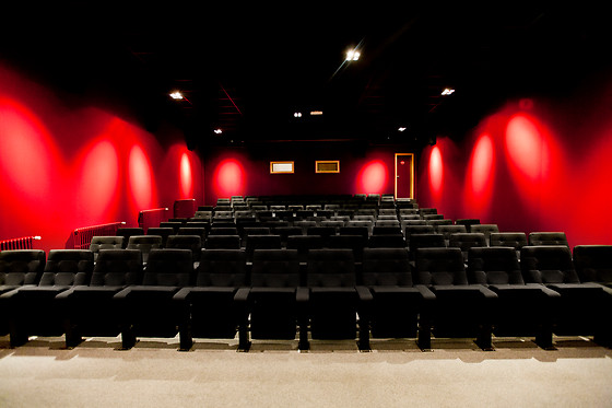 Cinema Albert - photo 2