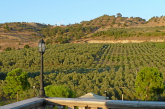 Agri-Club - photo 2