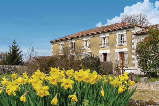 Du Coté Vignes - photo 0