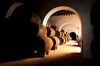 Una visita guiada y cata para 2 en Bodegas Barbadillo en Sanlúcar de Barrameda (Cádiz)
