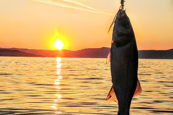 Paseo en barco con comida en Muros (A Coruña)
