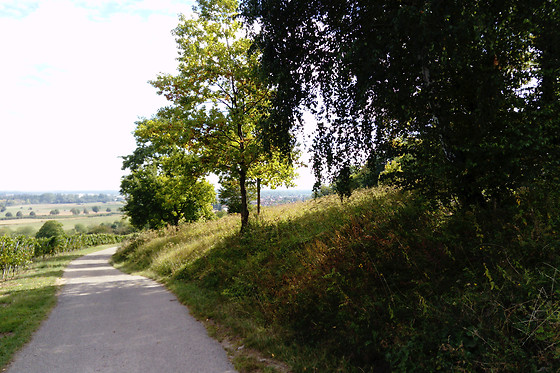 Evindez-vous - photo 3