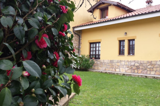 APARTAMENTO  RURAL LA FRAGUA DEL CANAJAL - photo 11